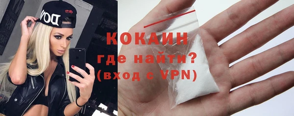 индика Дмитровск