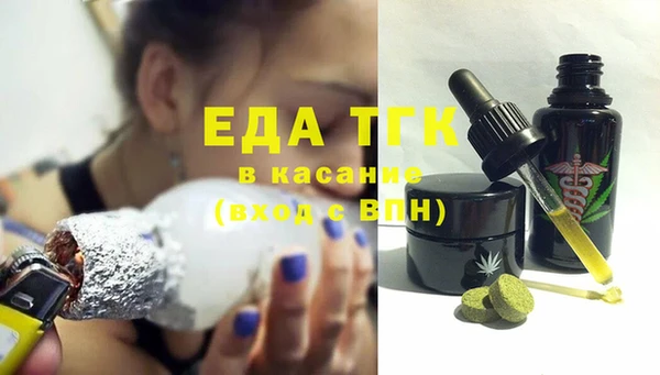 индика Дмитровск