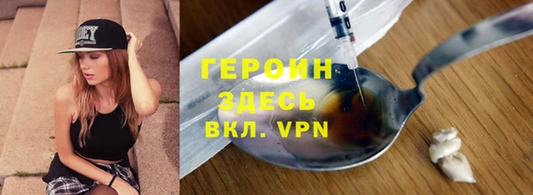 индика Дмитровск