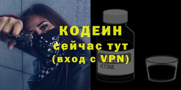 индика Дмитровск