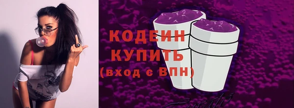 индика Дмитровск