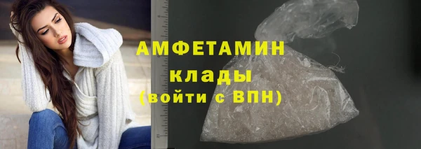 индика Дмитровск