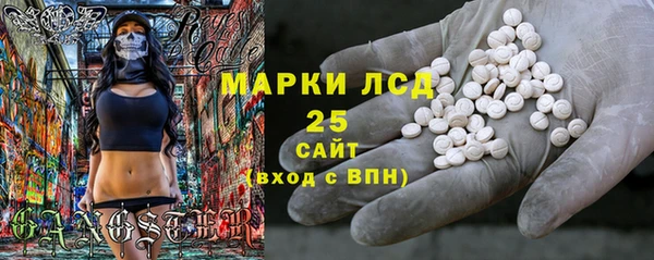 индика Дмитровск