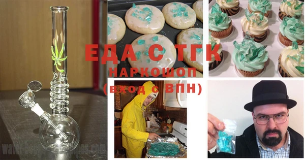 индика Дмитровск
