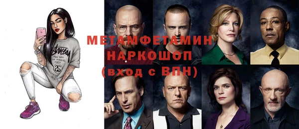 индика Дмитровск